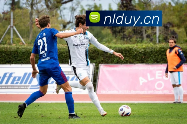 星空官方登录网站发展历程